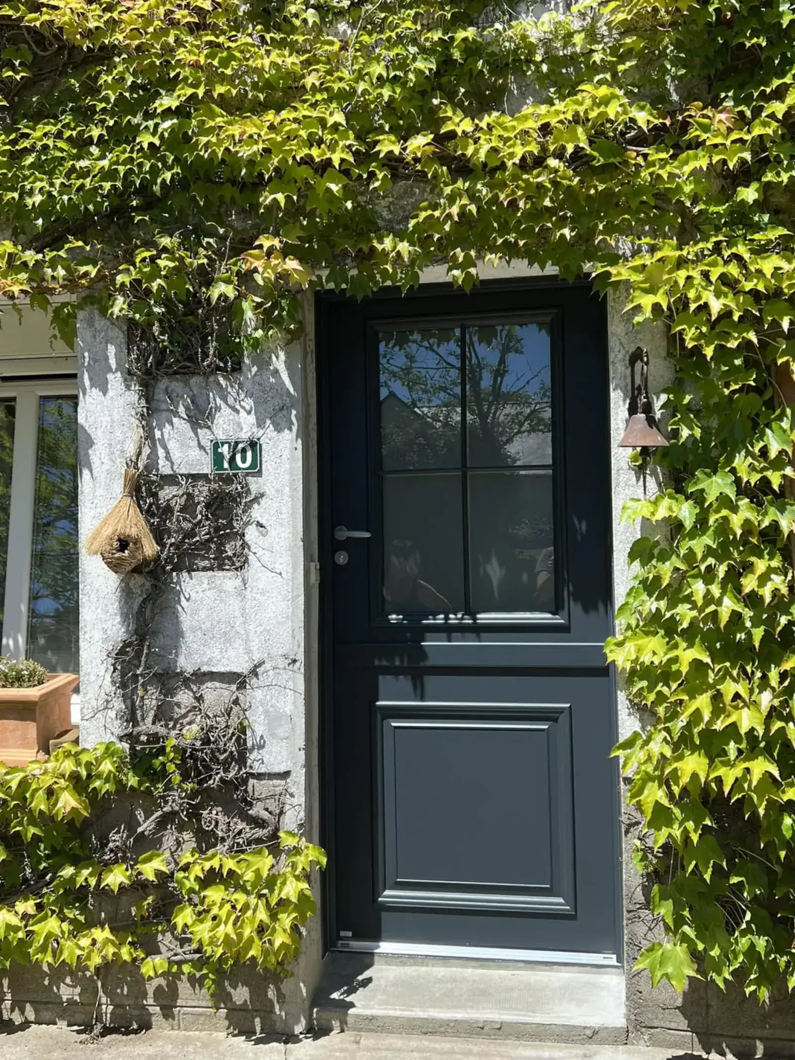 Porte d'entrée aluminium gris anthracite sur mur de pierre avec lierre